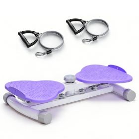 Waist And Abdomen Rotation Machine, Abdominal Rotation Board, Noise-free Fitness Tool, Suitable For Core Muscle Training And Abdominal Fat Reduction (Option: Purple)